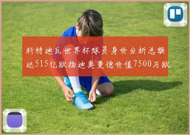 科特迪瓦世界杯球员身价分析总额达515亿欧扬迪奥曼德价值7500万欧